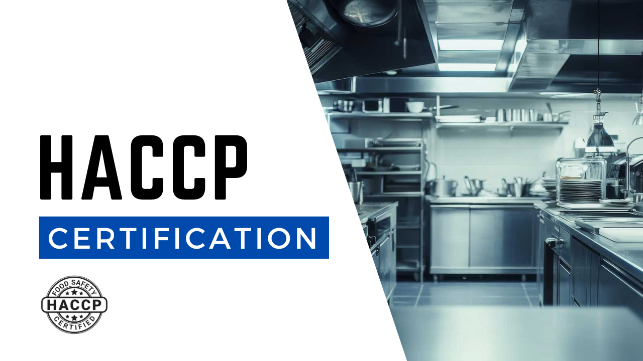 haccp-certification